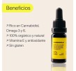 The(BEEMINE)Lab Aceite de Cannabis 10%CBD + Vitamina E, 10ml