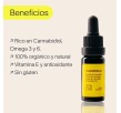 The(BEEMINE)Lab Aceite de Cannabis 30%CBD + Vitamina E, 10ml